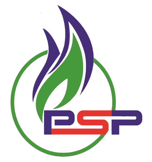 PT. PSP ( Pro Solusi Perkasa )